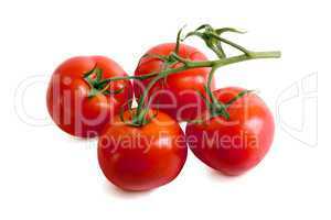 Ripe tasty tomatoes on white background