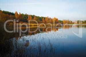 Autumn landscape with lake