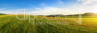 Panoramic summer landscape