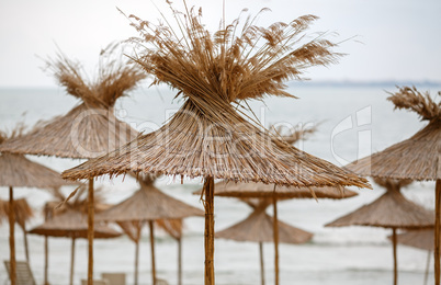 Umbrellas of straw