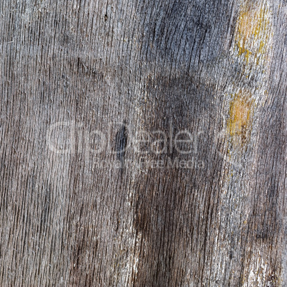 Weathered wood background