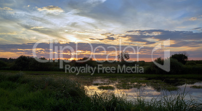 Panoramic summer landscape