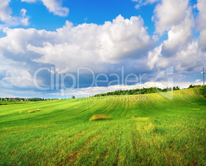 Field of grass and cloudy sky
