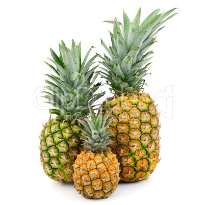 pineapples isolated on white background
