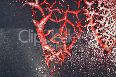 Cracked red paint on grunge metal surface - macro 1