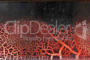 Cracked red paint on grunge metal surface - macro 5