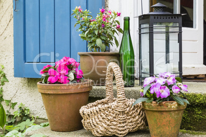 Stillleben mit Blumentöpfen, still live with flower pots