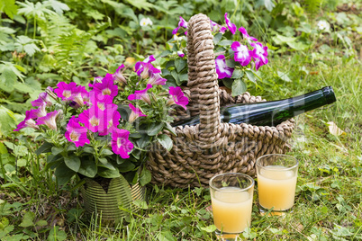 Flasche und Glas im Garten, bottle and glass in a garden