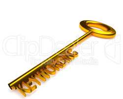 Golden key with the word keywording, 3d rendering