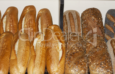 Assortment of baked bread photo