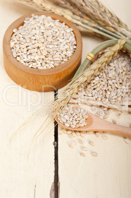 organic barley grains