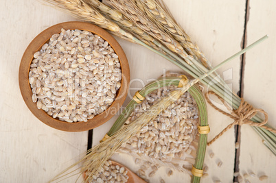 organic wheat grains