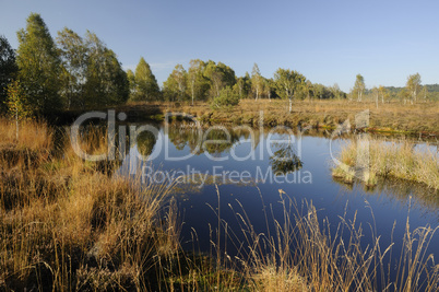 Hochmoor Kendlmühlfilz