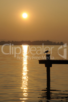 Abend am Chiemsee