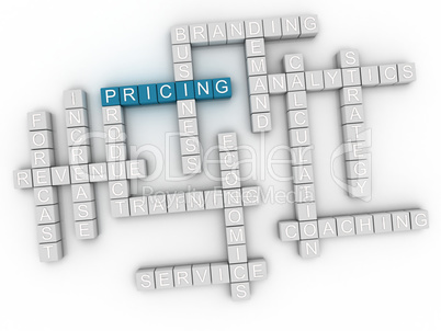 3d image Pricing word cloud concept