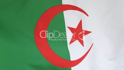 Closeup of Algerian flag