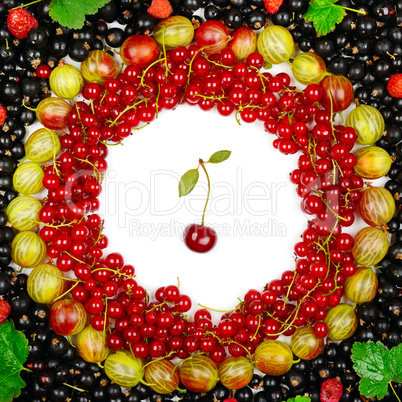 background of red and black currants, gooseberries, raspberries
