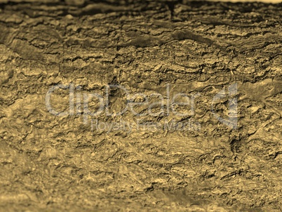 Wood picture sepia
