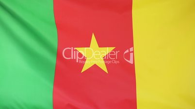 Textile flag of Cameroon