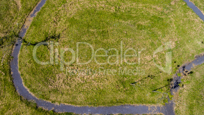 Abstract Grass Background