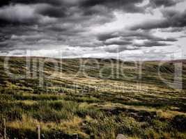 Atmospheric Moorland