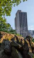 View of a skyscraper from Central Park in New York