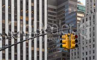 Traffic light on the background of skyscrapers in New York