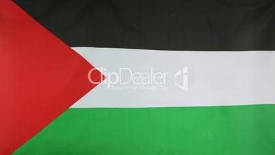 Flag of Palestine in slow motion