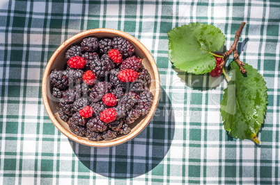 Cup full of mulberries