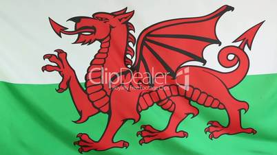Textile flag of Wales