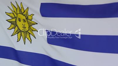 Textile flag of Uruguay in slow motion