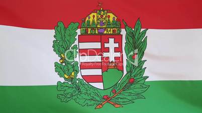 Hungary flag with blazon
