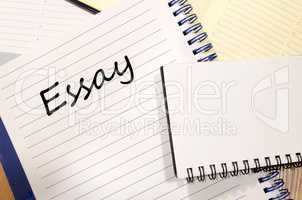 Essay write on notebook