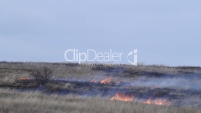 fire in the steppe