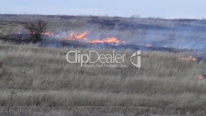 fire in the steppe