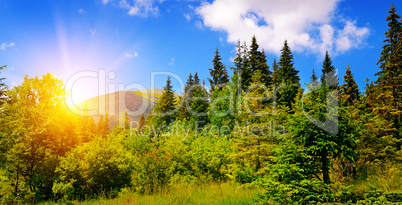 beautiful mountain landscape and sunrise