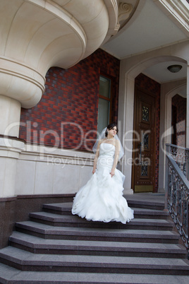 Brunette bride in a beautiful white dress