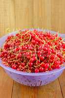 Berries of red currant on the plate