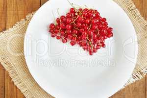Berries of a red currant on the white plate