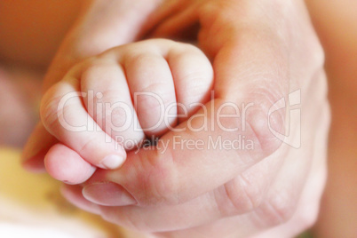 mother holds the small hand of her baby