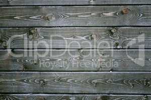 Natural background of wood with annual rings and knots