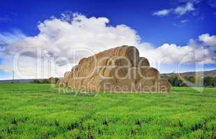 Rolls of hay stacked in a stack on the field against the blue sky