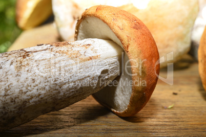 Wild mushroom on the table