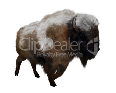 American bison with snow - 3D render