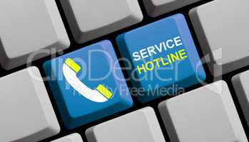 Service Hotline online