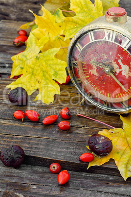 Autumn still life with clock