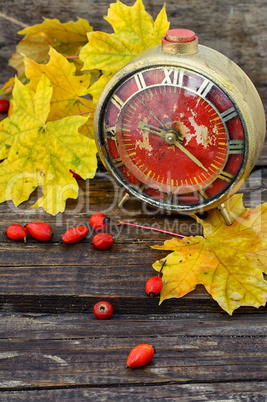 Autumn still life with clock