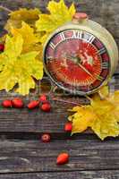 Autumn still life with clock