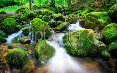 Bergbach mit kleinen Wasserfällen, vielen mit Moos bedeckten St