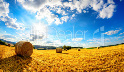 Sommer am Land; die Sonne leuchtet vom strahlend blauen Himmel a